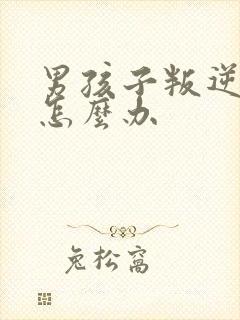 男孩子叛逆家长怎么办