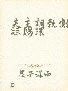 夫主调教侧夫规矩赐环