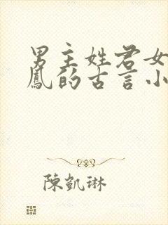 男主姓君女主姓凤的古言小说