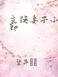 交换妻子小说章节