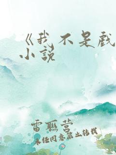 《我不是戏神》小说