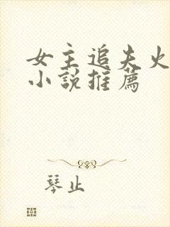 女主追夫火葬场小说推荐