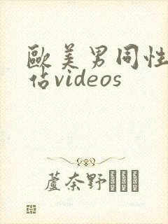 欧美男同性恋网站videos