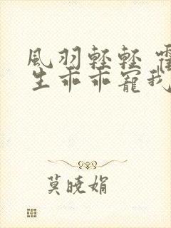 风羽轻轻 霍先生乖乖宠我