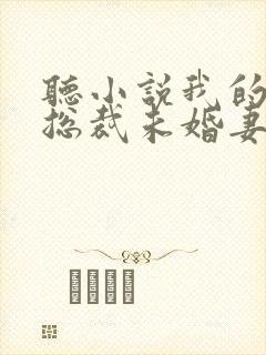 听小说我的绝色总裁未婚妻