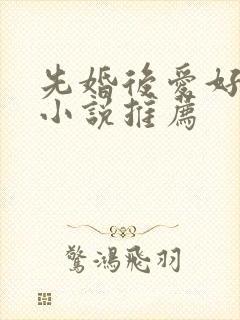 先婚后爱好看的小说推荐