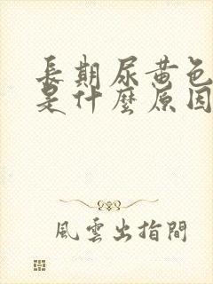 长期尿黄色的尿是什么原因