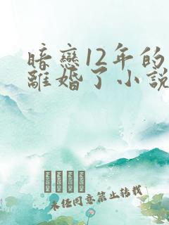 暗恋12年的他离婚了小说免费阅读无弹窗