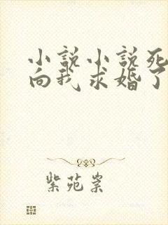 小说小说死对头向我求婚了