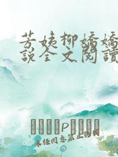 芳姨柳娇娇的小说全文阅读