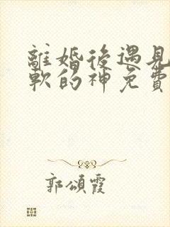 离婚后遇见了心软的神免费观看全集高清版