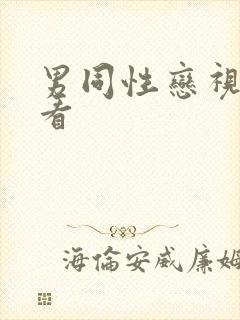 男同性恋视频看看