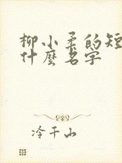 柳小柔的短剧叫什么名字