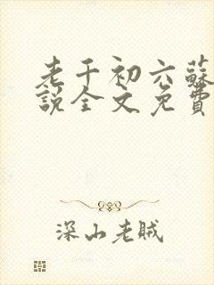 老千初六苏梅小说全文免费阅读