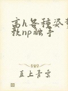 高h各种姿势调教np触手