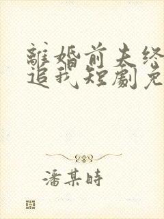 离婚前夫终是想追我短剧免费观看