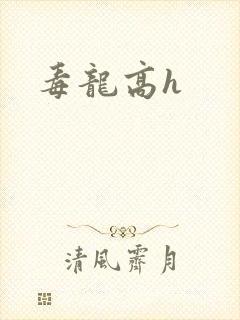 毒龙高h