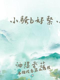 小骚b好紧小说
