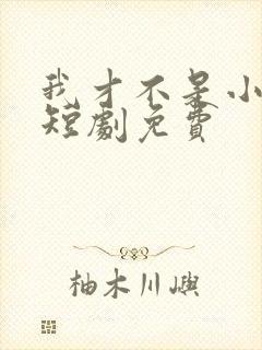 我才不是小可怜短剧免费