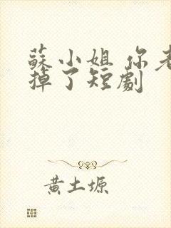 苏小姐 你老公掉了短剧