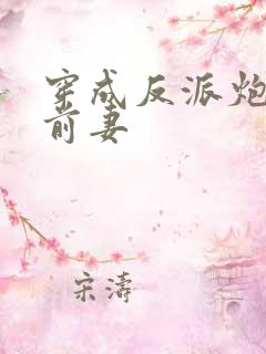 穿成反派炮灰的前妻
