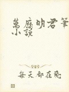 万历明君笔趣阁小说