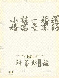 小说一婚还比一婚高晨雾的光