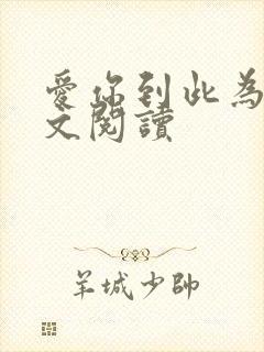 爱你到此为止全文阅读