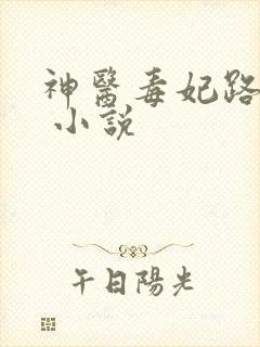 神医毒妃路子野 小说