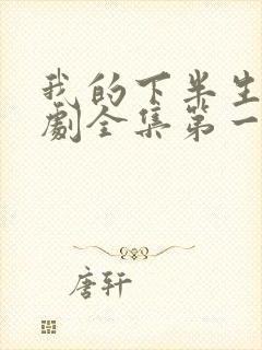 我的下半生电视剧全集第一集