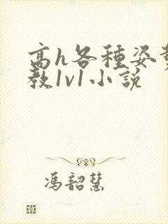 高h各种姿势调教1v1小说