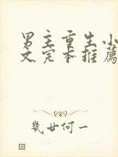 男主重生小说宠文完本推荐