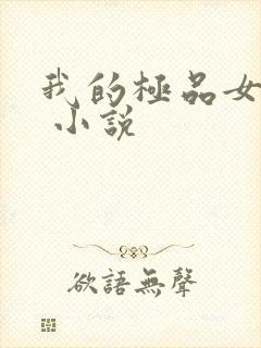 我的极品女总裁 小说