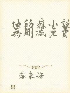 他的瘾小说全文无删减免费阅读