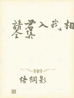 请君入我相思局全集