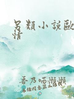 另类小说欧美激情