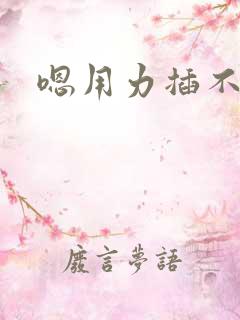 嗯用力插不要停