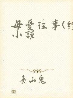 母爱往事(续)小说