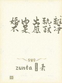 婚内出轨离婚是不是应该净身出户