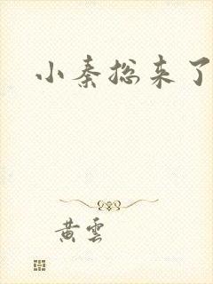 小秦总来了短剧