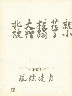 北大校花就这样被糟蹋了小说