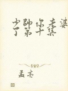 少帅你老婆又跑了第十集