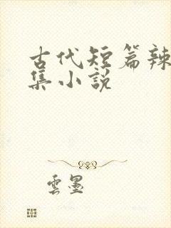 古代短篇辣文合集小说