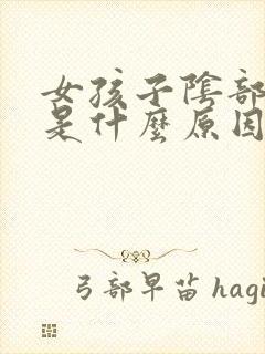 女孩子阴部瘙痒是什么原因