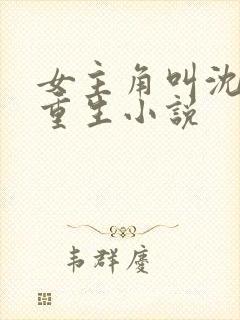 女主角叫沈鸾的重生小说