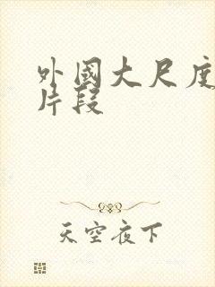 外国大尺度床戏片段