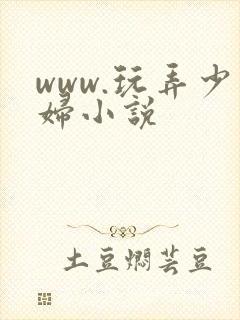 www.玩弄少妇小说