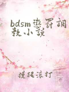 bdsm惩罚调教小说
