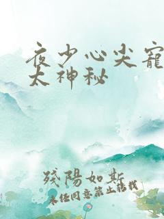 夜少心尖宠老婆太神秘