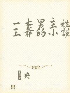 一本男主姓萧是王爷的小说